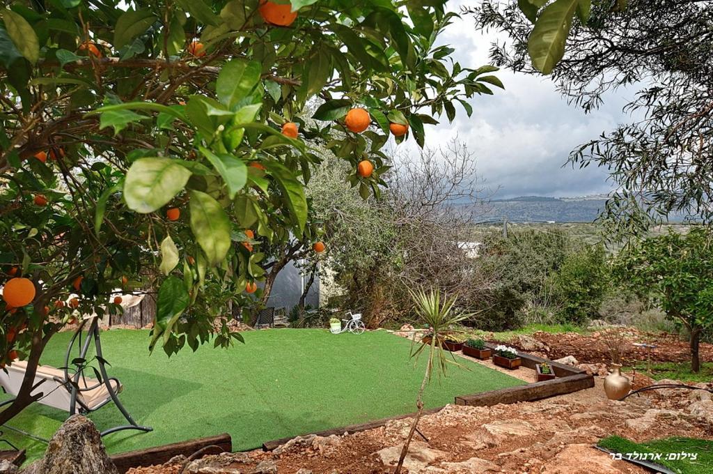 סויטות אירוח מנות Manot Exterior foto